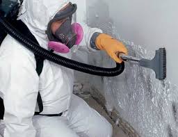 Best Airborne Mold Testing  in Boonton, NJ